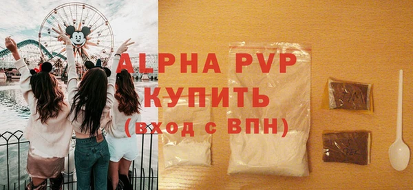 шишки Покачи